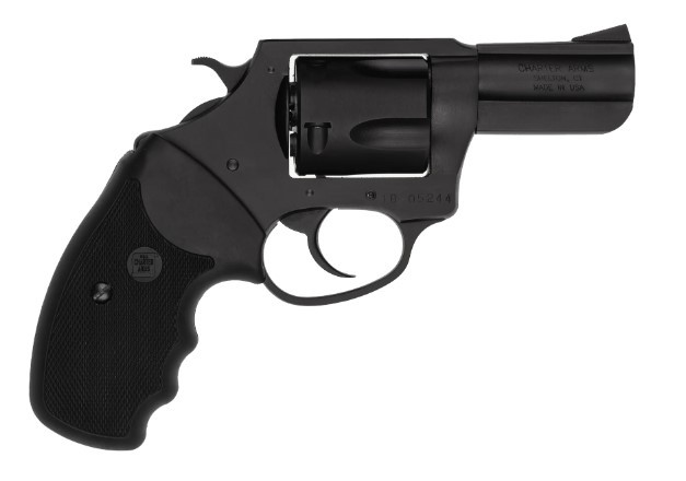 CHARTER ARMS BULLDOG .44 SPL. LARGE 5 SHOT 2.5IN FIXED STANDARD BLACK PASSIVATE 14420 - Taurus Savings